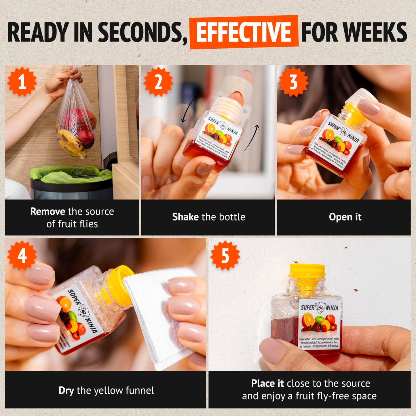 Easy To Use Fruit Fly Trap