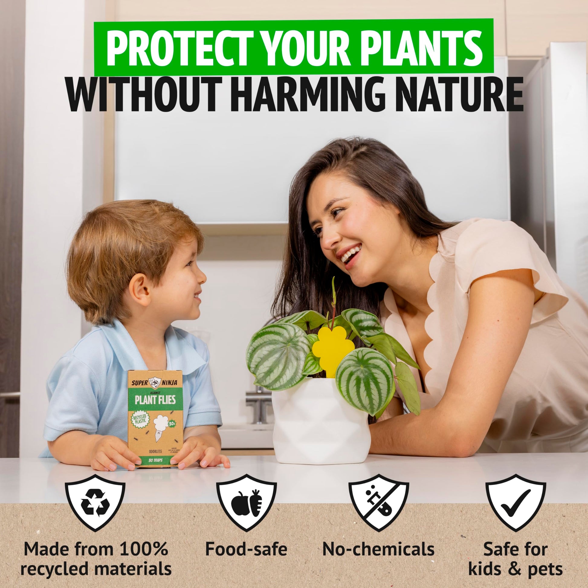 Protect Your Plant with Sticky Fly Traps